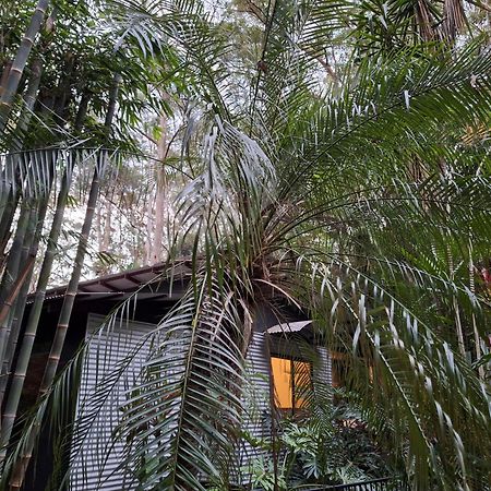Alaya Escape Bed & Breakfast Eudlo Luaran gambar