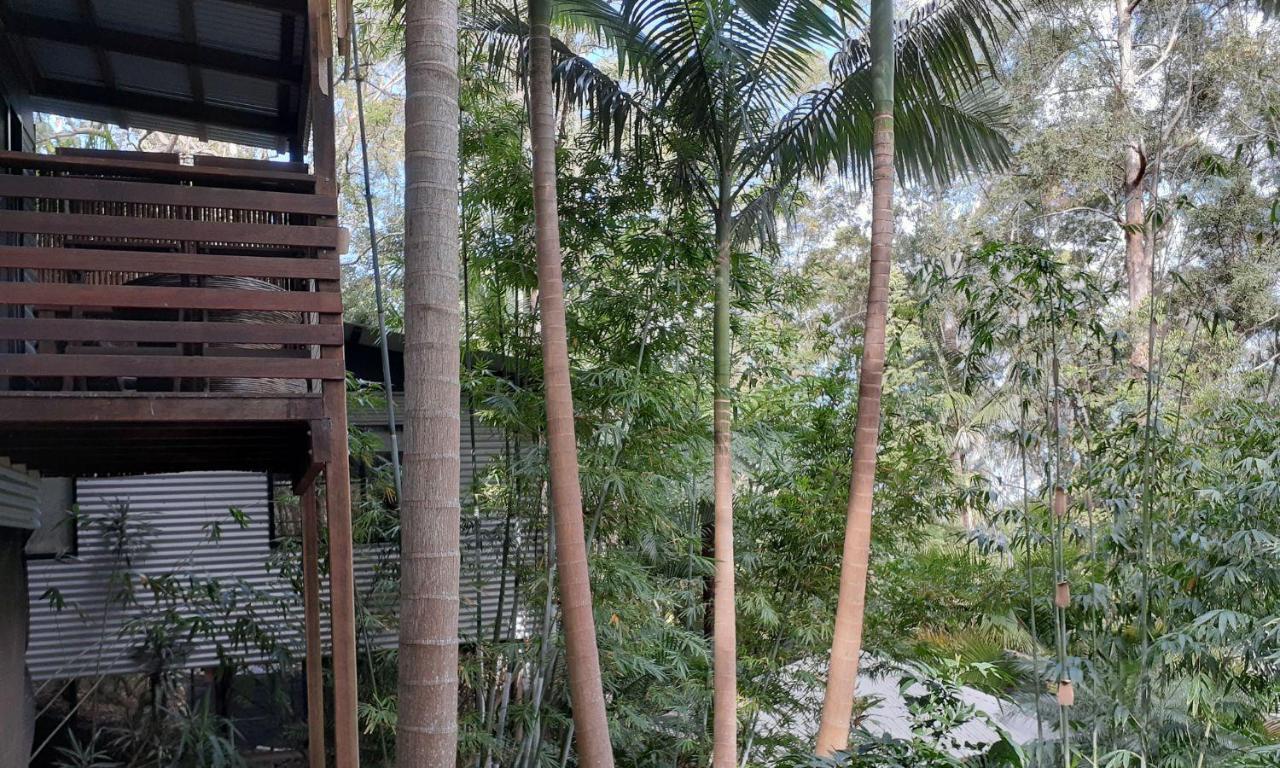 Alaya Escape Bed & Breakfast Eudlo Luaran gambar
