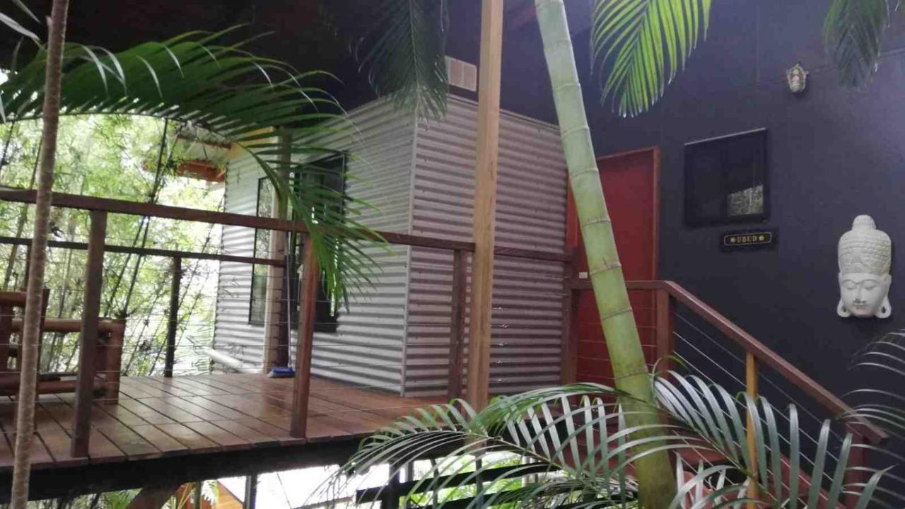 Alaya Escape Bed & Breakfast Eudlo Luaran gambar
