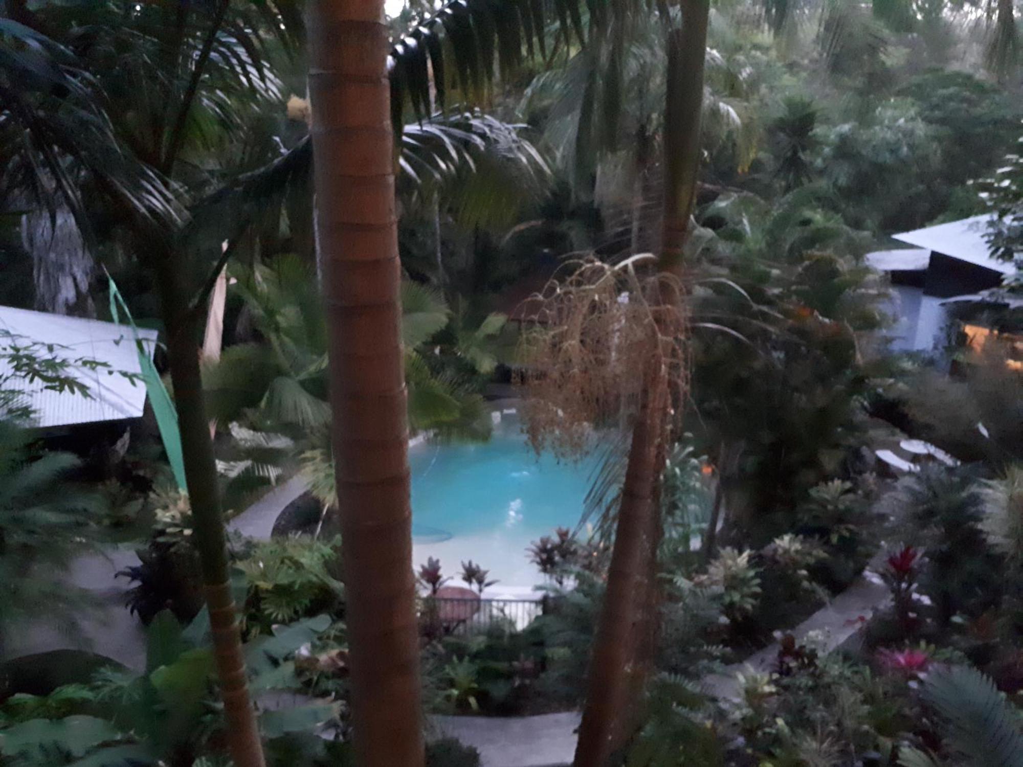 Alaya Escape Bed & Breakfast Eudlo Luaran gambar