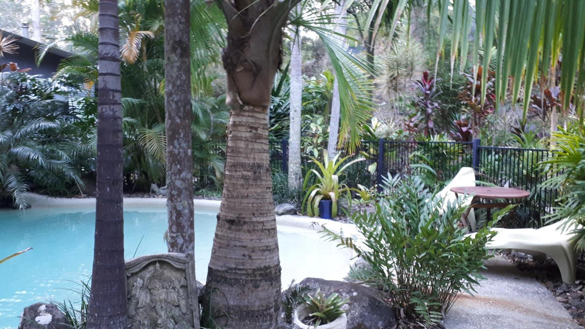 Alaya Escape Bed & Breakfast Eudlo Luaran gambar