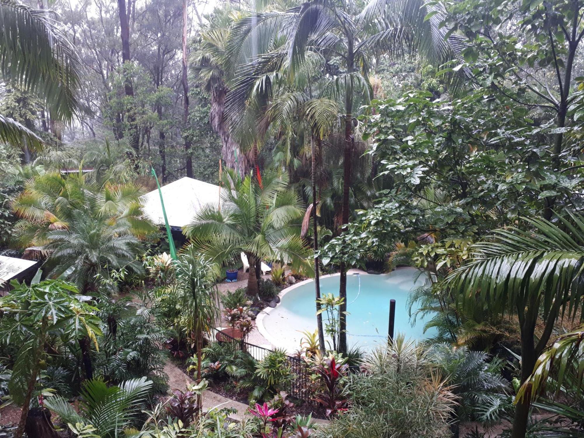 Alaya Escape Bed & Breakfast Eudlo Luaran gambar