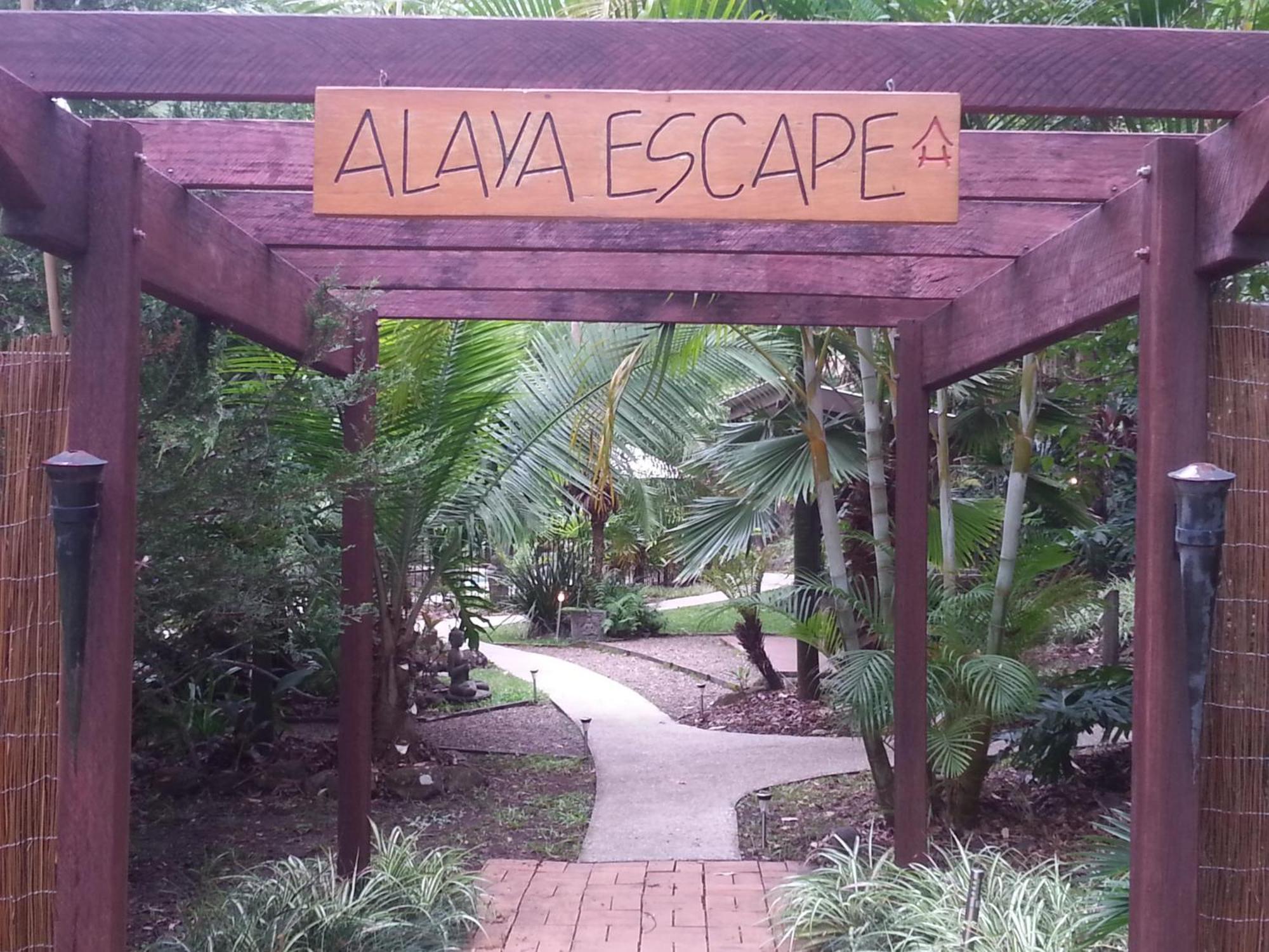Alaya Escape Bed & Breakfast Eudlo Luaran gambar