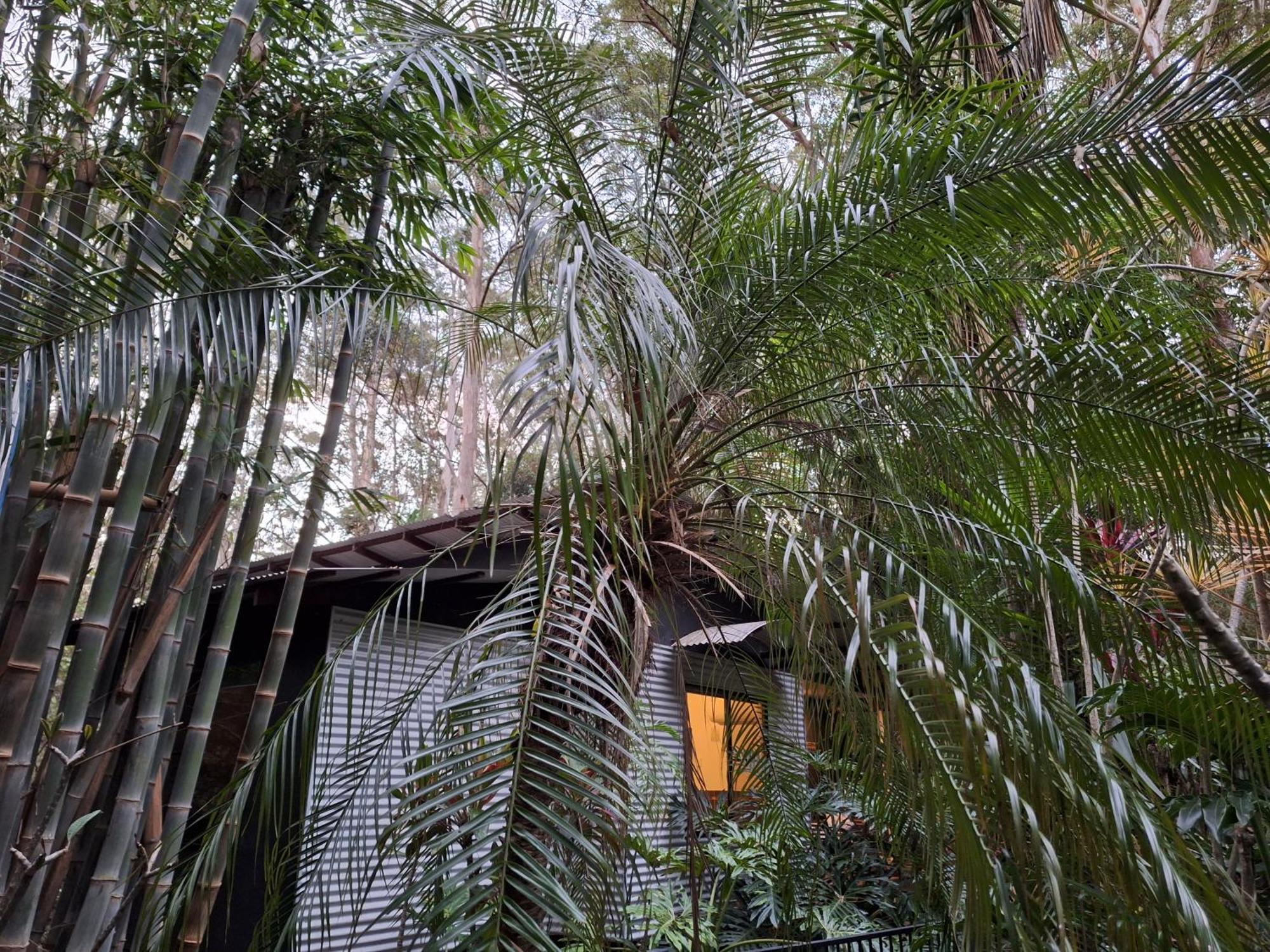 Alaya Escape Bed & Breakfast Eudlo Luaran gambar