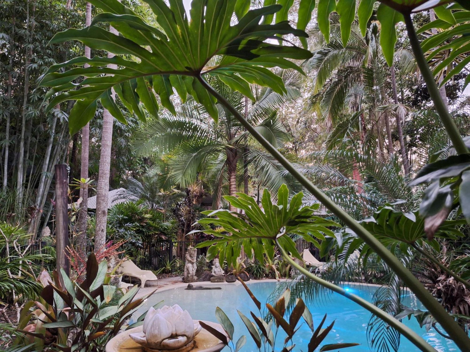 Alaya Escape Bed & Breakfast Eudlo Luaran gambar
