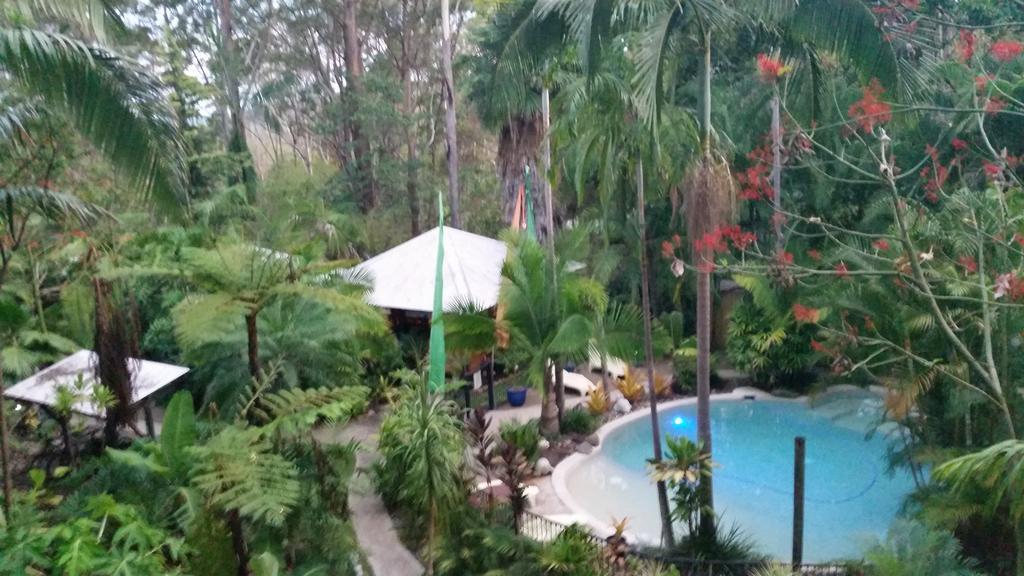 Alaya Escape Bed & Breakfast Eudlo Luaran gambar