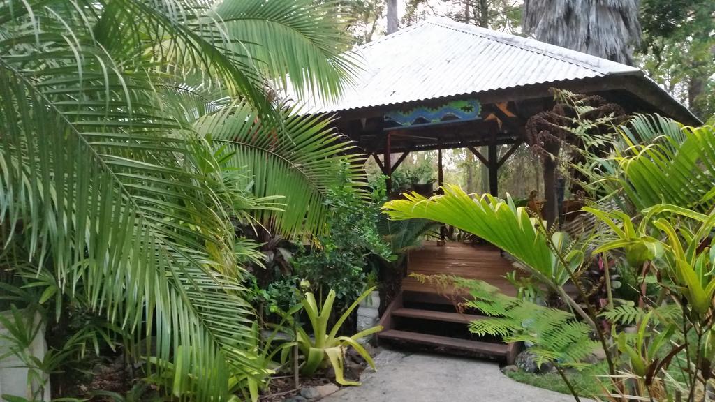 Alaya Escape Bed & Breakfast Eudlo Luaran gambar