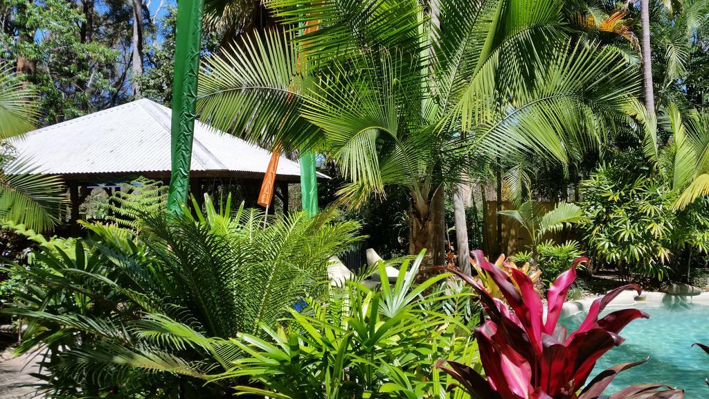 Alaya Escape Bed & Breakfast Eudlo Luaran gambar