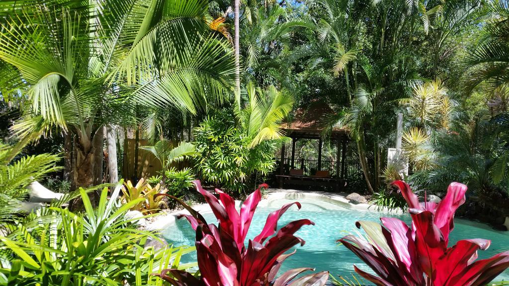 Alaya Escape Bed & Breakfast Eudlo Luaran gambar
