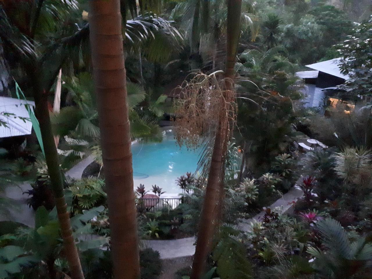 Alaya Escape Bed & Breakfast Eudlo Luaran gambar